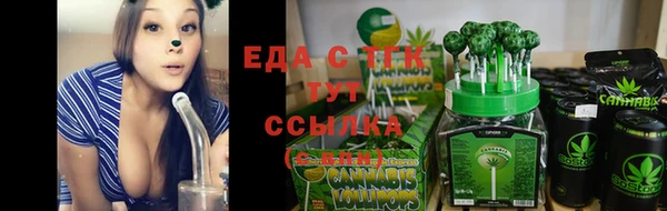 СК Абинск
