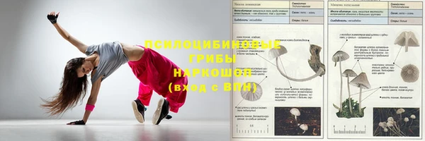 СК Абинск