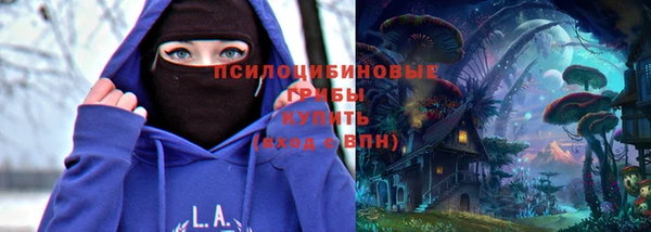 прущие грибы Горнозаводск