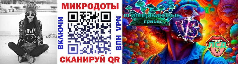 Галлюциногенные грибы Psilocybe  Подпорожье 