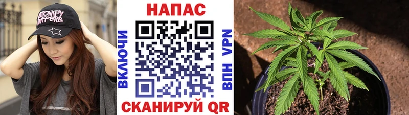 где найти наркотики Подпорожье Конопля план